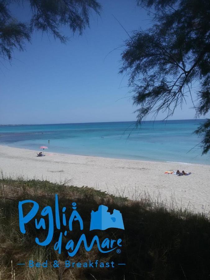 B&B Puglia D'Amare Lizzano  Luaran gambar